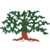 Tree -1