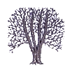 Bare Tree - 3