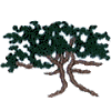 Tree - 5