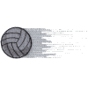 Volleyball -10