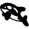 Killer Whale (Dolphin)