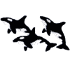 3 Killer  Whales (Dolphins)