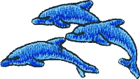 3 Jumping Dolphins