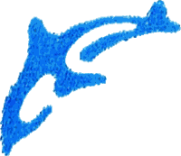 Diving Dolphin Graphic