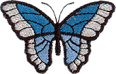 Butterfly - Blue Meanie