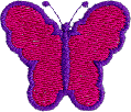 Butterfly - Raspberry