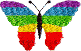 Butterfly - Striped Rainbow