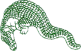 Aligator (Outline)