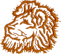 Lion Head Outline 2