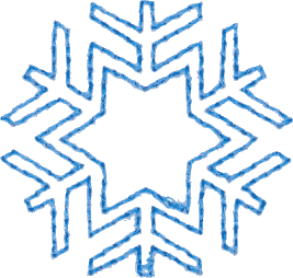 40 - Snowflake