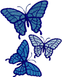 Butterfly Blue Shades