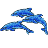 3 Jumping Dolphins