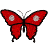 Butterfly-Domino Spot