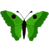 Butterfly-Gypsy Jade