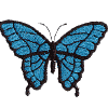 Butterfly - Blue Bayou
