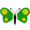 Butterfly - Green
