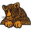 Leopard-Resting