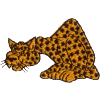 Leopard - crouching
