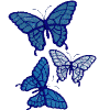Butterfly Blue Shades