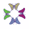 Butterfly Rainbow Square