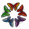 Butterfly rainbow circle