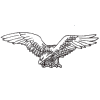 Eagle 10