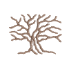 Tree 41