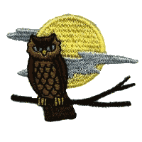 Owl with Moon in Background