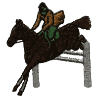 Horse Jumping over Fence