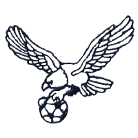 Eagle Carrying Soccer Ball