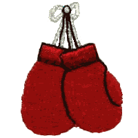 Hanging Boxing gloves