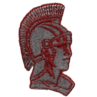 Bust of Ancient Warrior