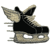 Winged Ice Skate