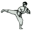 Karate Right kick