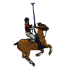 Polo Horse and Rider