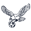 Eagle Carrying Soccer Ball