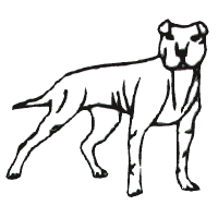 Dog (Outline)