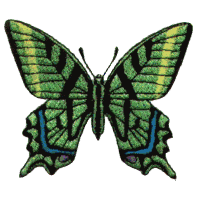 Butterfly - smaller