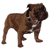 Bulldog - larger