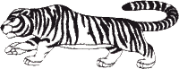 Tiger outline