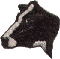 Holstein Head