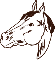 Horse Head outline Embroidery Design by Stitchitize