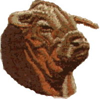 Horned Bull Head - smaller