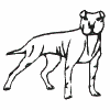 Dog (Outline)