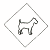 Terrier (Outline)