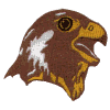 Falcon Head