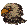 Angry Eagle Head