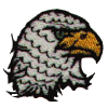 Scruffy Eagle Head