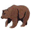 Large bear