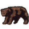 Bear small